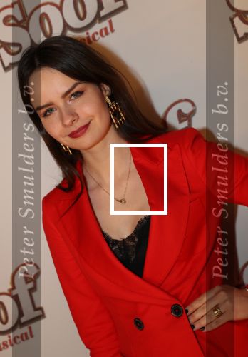 Breda, 18 November 2018
Premiere Musical Soof.
Sarah Nauta