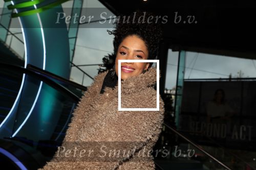 Amsterdam 8 december 2018
Premiere van Ralph Breaks the Internet in Pathe Arena. Sharon Doorson