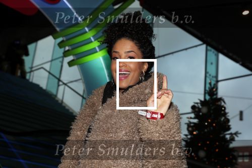 Amsterdam 8 december 2018
Premiere van Ralph Breaks the Internet in Pathe Arena. Sharon Doorson