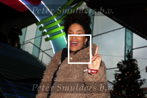 Amsterdam 8 december 2018
Premiere van Ralph Breaks the Internet in Pathe Arena. Sharon Doorson