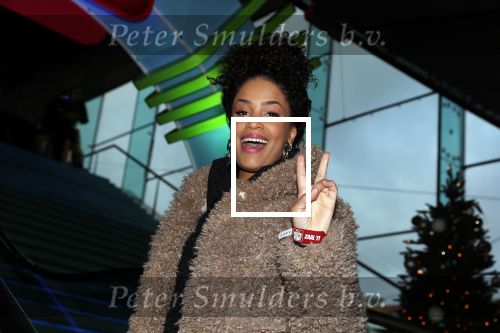 Amsterdam 8 december 2018
Premiere van Ralph Breaks the Internet in Pathe Arena. Sharon Doorson