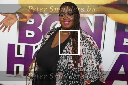 Rotterdam 9 december 2018
Premiere Bon Bini Holland 2 in pathe Rotterdam. Shirma Rouse