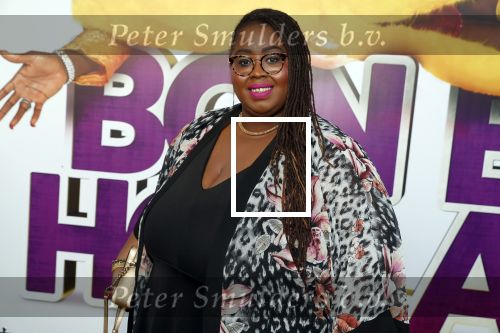 Rotterdam 9 december 2018
Premiere Bon Bini Holland 2 in pathe Rotterdam. Shirma Rouse