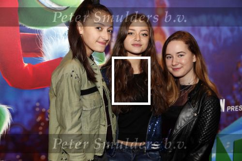 Amsterdam 24 november 2018
Premiere van de Grinch in pathe arena.
Stefania