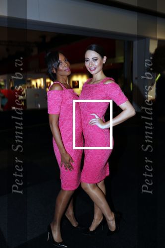 Amsterdam 6 december 2018
Openingsavond VIP van de luxery fair in de RAI. Stella agency