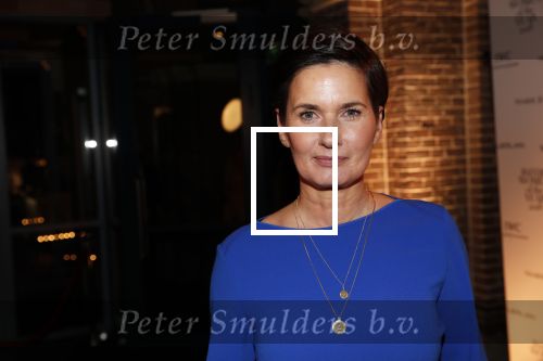 Amsterdam 10 december 2018
de Harper\'s Bazaar Woman of the Year Award 2018 in de Posthoornkerk . Stella Gommans