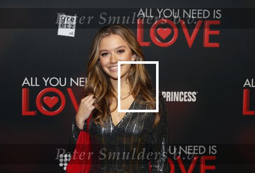 Amsterdam 26 november 2018
Premiere All you need is love in het delamar theater. Sterre Koning