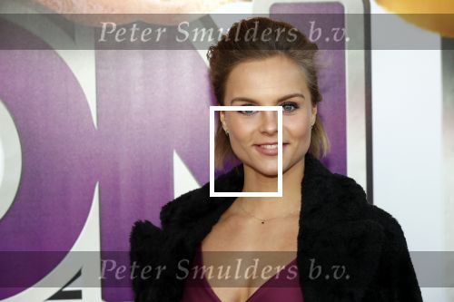 Rotterdam 9 december 2018
Premiere Bon Bini Holland 2 in pathe Rotterdam. Stijn Fransen
