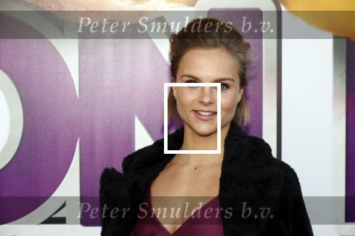 Rotterdam 9 december 2018
Premiere Bon Bini Holland 2 in pathe Rotterdam. Stijn Fransen