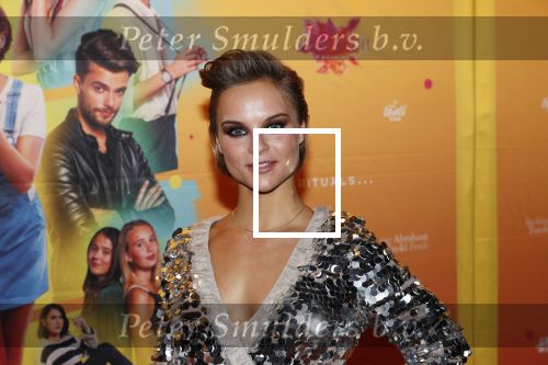 Amsterdam 22 november 2018
Premiere first kiss in het Amsterdam theater. Stijn Fransen