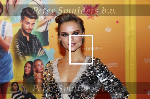 Amsterdam 22 november 2018
Premiere first kiss in het Amsterdam theater. Stijn Fransen