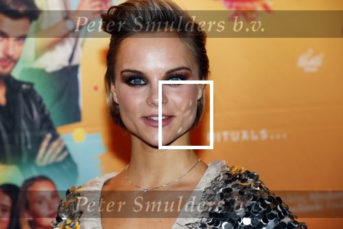 Amsterdam 22 november 2018
Premiere first kiss in het Amsterdam theater. Stijn Fransen