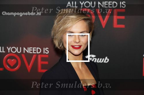 Amsterdam 26 november 2018
Premiere All you need is love in het delamar theater. Stijn Fransen en Barbara Sloesen