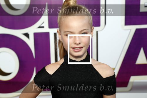 Rotterdam 9 december 2018
Premiere Bon Bini Holland 2 in pathe Rotterdam.Summer de Snoo