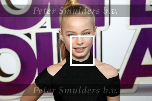 Rotterdam 9 december 2018
Premiere Bon Bini Holland 2 in pathe Rotterdam.Summer de Snoo