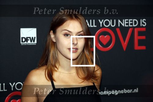 Amsterdam 26 november 2018
Premiere All you need is love in het delamar theater. Susan Radder