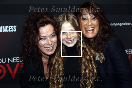 Amsterdam 26 november 2018
Premiere All you need is love in het delamar theater. Suzanne Klemann met partner en dochter