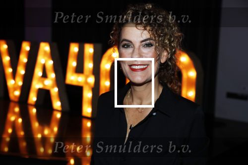 Amsterdam 15 november 2018
Viva 400 verkiezing in hotel Krasnapolsky. Tatum dagelet