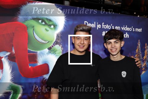 Amsterdam 24 november 2018
Premiere van de Grinch in pathe arena.
Thorben