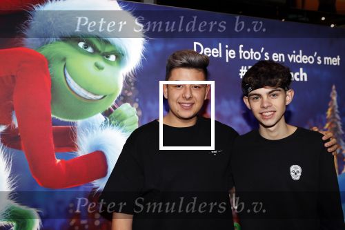 Amsterdam 24 november 2018
Premiere van de Grinch in pathe arena.
Thorben