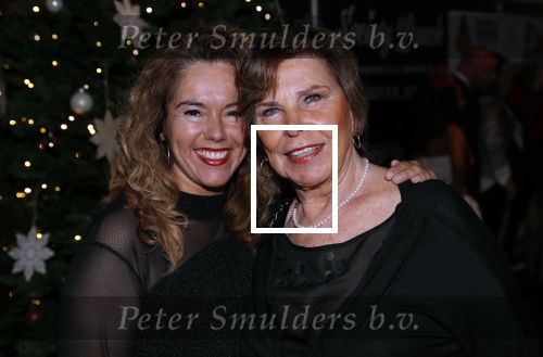 Den Haag 10 december 2018
Society Lunch in het crown plaza hotel.
Tine Boskamp