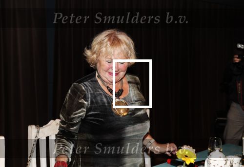 Hilversum 3 december 2018
Tineke de Nooij krijgt ouvre award bij beeld en geluid.