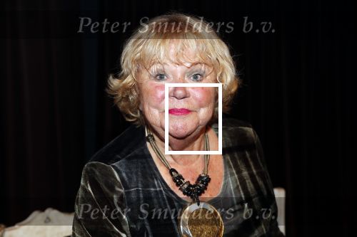 Hilversum 3 december 2018
Tineke de Nooij krijgt ouvre award bij beeld en geluid.