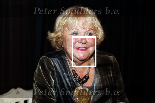 Hilversum 3 december 2018
Tineke de Nooij krijgt ouvre award bij beeld en geluid.