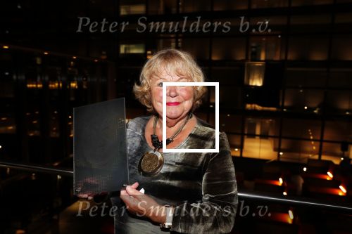 Hilversum 3 december 2018
Tineke de Nooij krijgt ouvre award bij beeld en geluid.