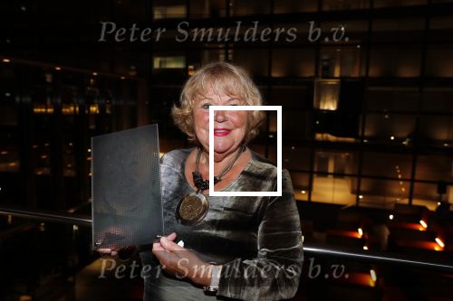 Hilversum 3 december 2018
Tineke de Nooij krijgt ouvre award bij beeld en geluid.