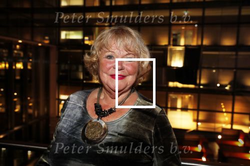 Hilversum 3 december 2018
Tineke de Nooij krijgt ouvre award bij beeld en geluid.