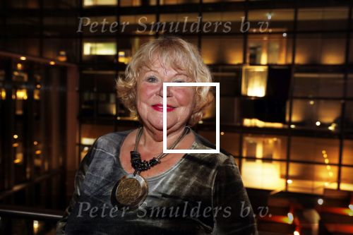 Hilversum 3 december 2018
Tineke de Nooij krijgt ouvre award bij beeld en geluid.