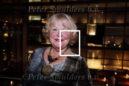 Hilversum 3 december 2018
Tineke de Nooij krijgt ouvre award bij beeld en geluid.