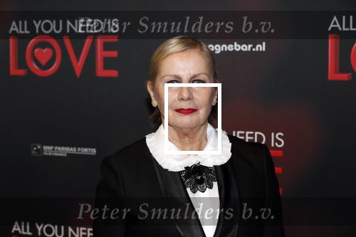 Amsterdam 26 november 2018
Premiere All you need is love in het delamar theater. Trudy Labij