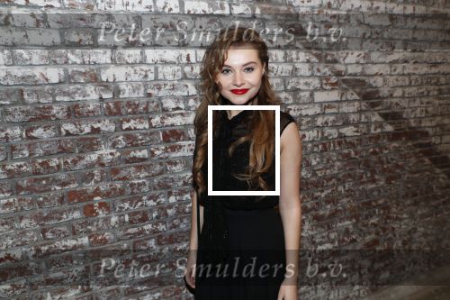 Rotterdam 9 december 2018
Premiere Charley in het oude Luxor theater. Vajen v d Bosch