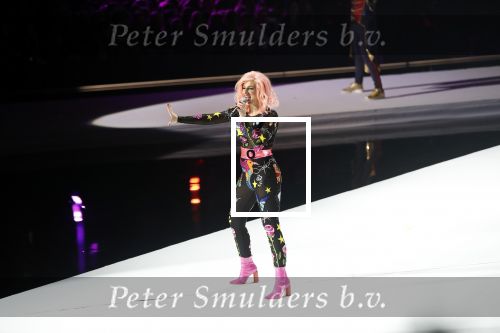 Amsterdam 11 december 2018
Modeshow en feest Nikkie Plessen met heel veel artiesten in AFAS live. Vengaboys