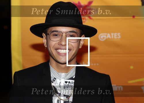 Amsterdam 22 november 2018
Premiere first kiss in het Amsterdam theater. Vinchenzo