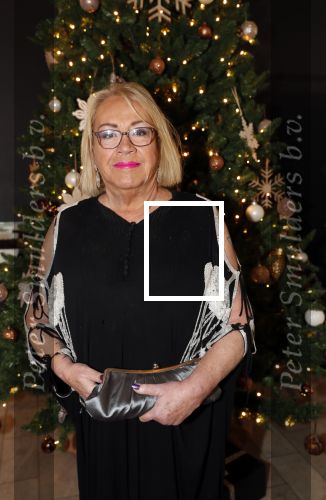 Den Haag 10 december 2018
Society Lunch in het crown plaza hotel.
Viola Holt