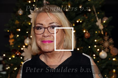 Den Haag 10 december 2018
Society Lunch in het crown plaza hotel.
Viola Holt