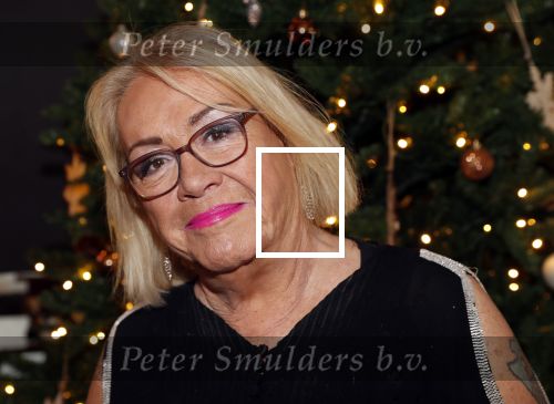 Den Haag 10 december 2018
Society Lunch in het crown plaza hotel.
Viola Holt