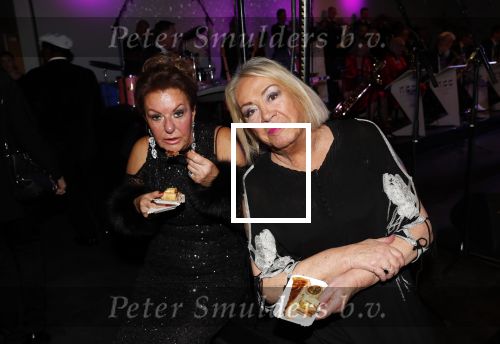 Den Haag 10 december 2018
Society Lunch in het crown plaza hotel.
