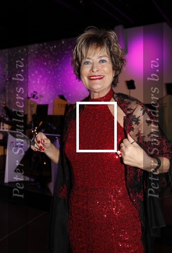 Den Haag 10 december 2018
Society Lunch in het crown plaza hotel.
Vivian Boelen