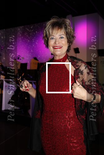 Den Haag 10 december 2018
Society Lunch in het crown plaza hotel.
Vivian Boelen