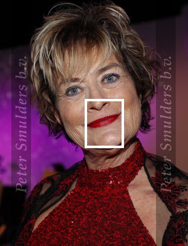 Den Haag 10 december 2018
Society Lunch in het crown plaza hotel.
Vivian Boelen