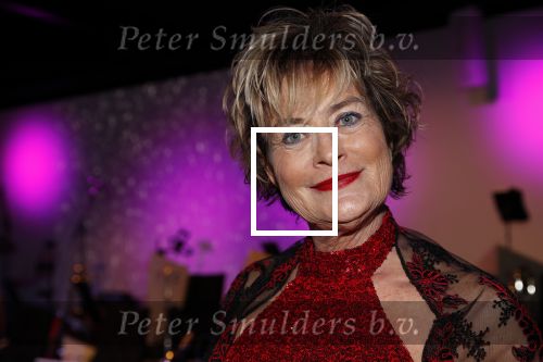 Den Haag 10 december 2018
Society Lunch in het crown plaza hotel.
Vivian Boelen