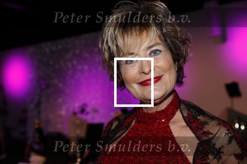 Den Haag 10 december 2018
Society Lunch in het crown plaza hotel.
Vivian Boelen