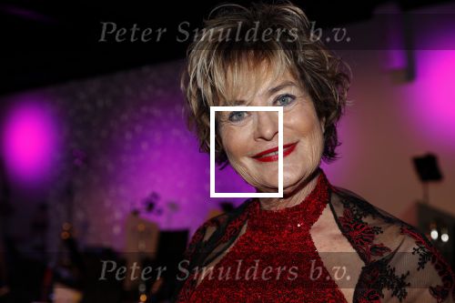 Den Haag 10 december 2018
Society Lunch in het crown plaza hotel.
Vivian Boelen