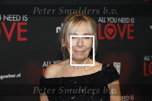 Amsterdam 26 november 2018
Premiere All you need is love in het delamar theater. Will Koopman met â€¦