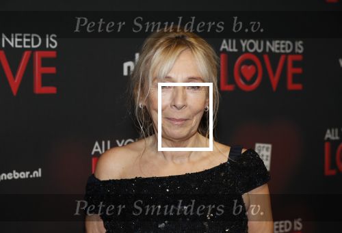 Amsterdam 26 november 2018
Premiere All you need is love in het delamar theater. Will Koopman met â€¦