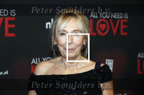 Amsterdam 26 november 2018
Premiere All you need is love in het delamar theater. Will Koopman met â€¦
